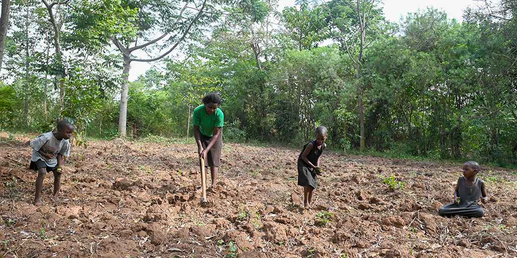 Ugandees gezin werkt in een maisveld